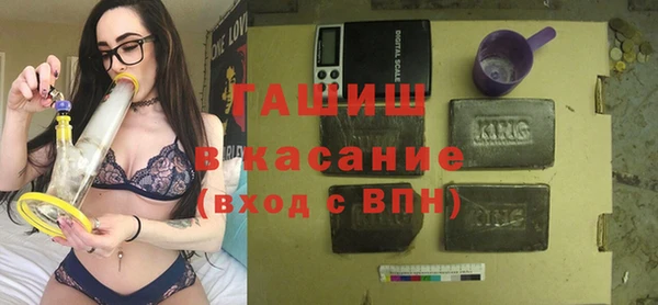 стаф Алексин