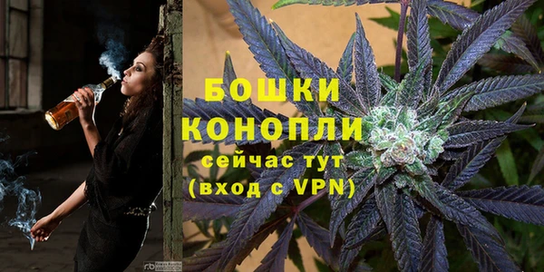 mdpv Осинники
