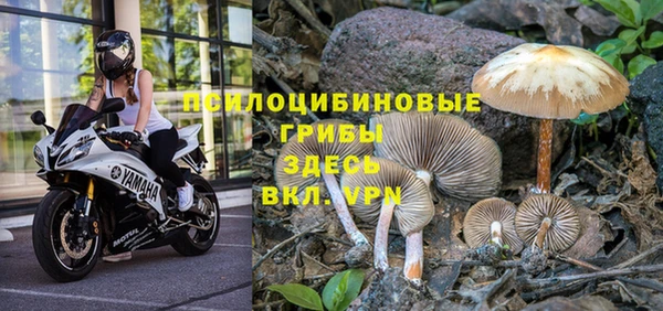 спайс Алексеевка