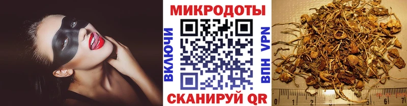 Галлюциногенные грибы прущие грибы  Олонец 