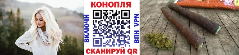 Каннабис гибрид  Олонец 